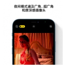 Apple iPhone 12 Pro Max (A2412) 256GB 海蓝色 支持移动联通电信5G 双卡双待手机